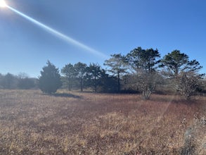 Hike Huckleberry Barrens Trail