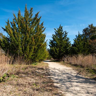 Hike Prickly Pear Trail Loop