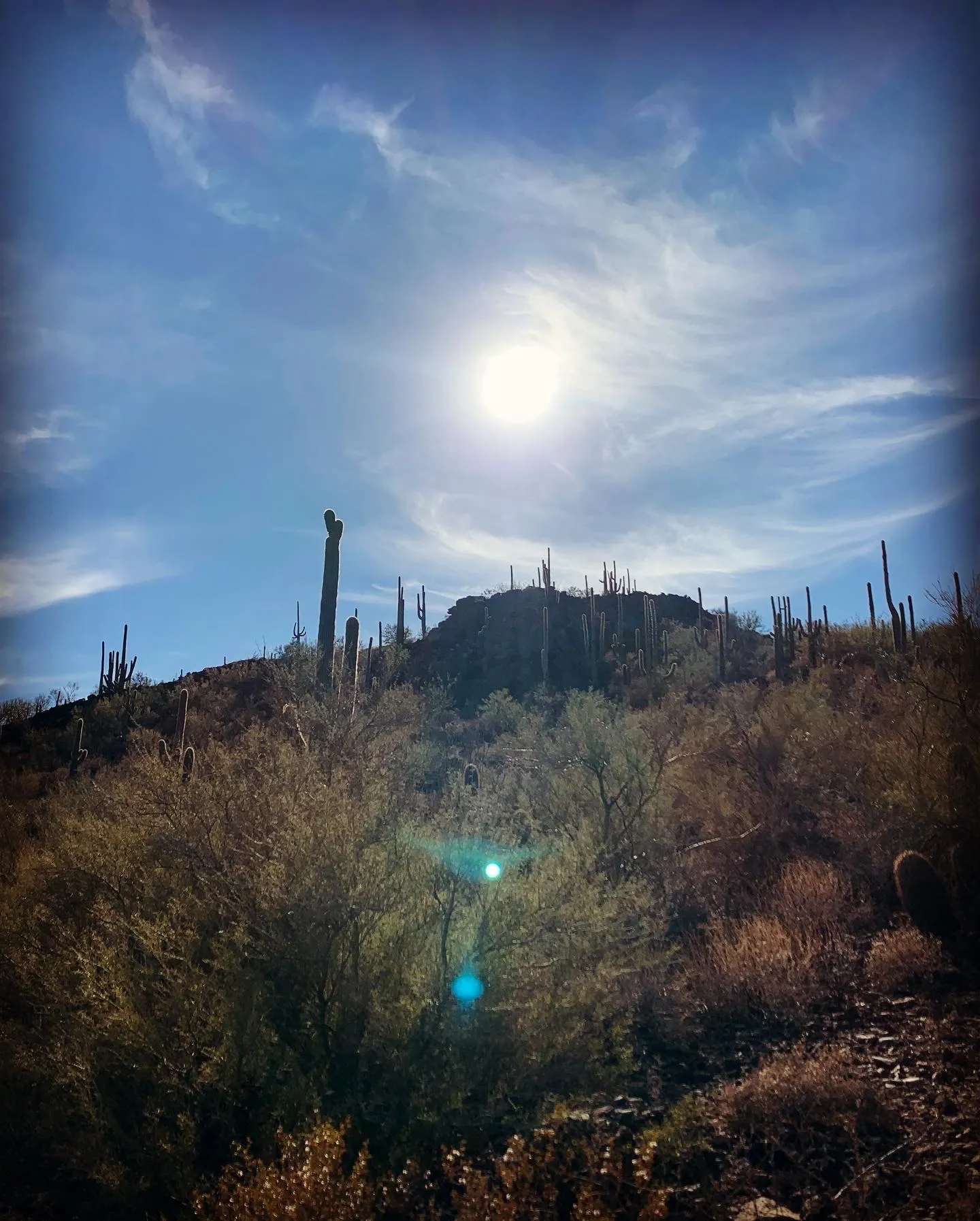 Hike Tumamoc Hill