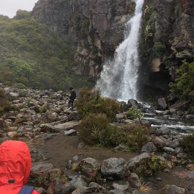 Hike the Taranaki Falls Loop