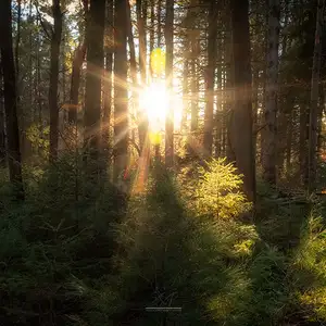 Hike Belding Wildlife Management Area Loop