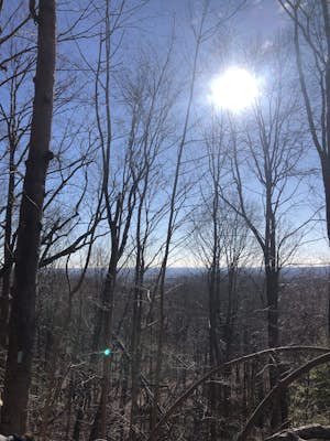 Hike the Metacomet, Blue, and Yellow Loop