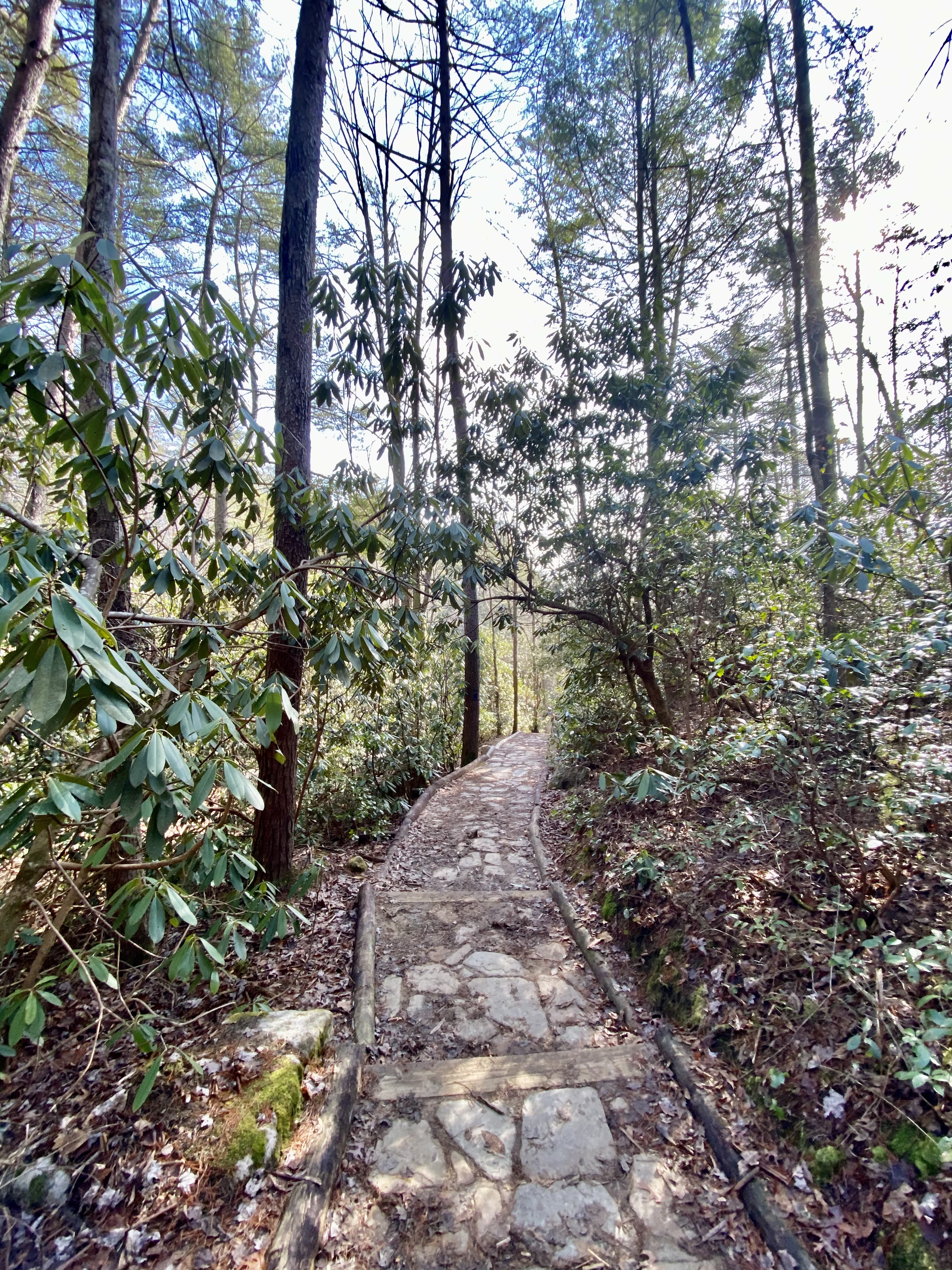 Hike to Benton Falls