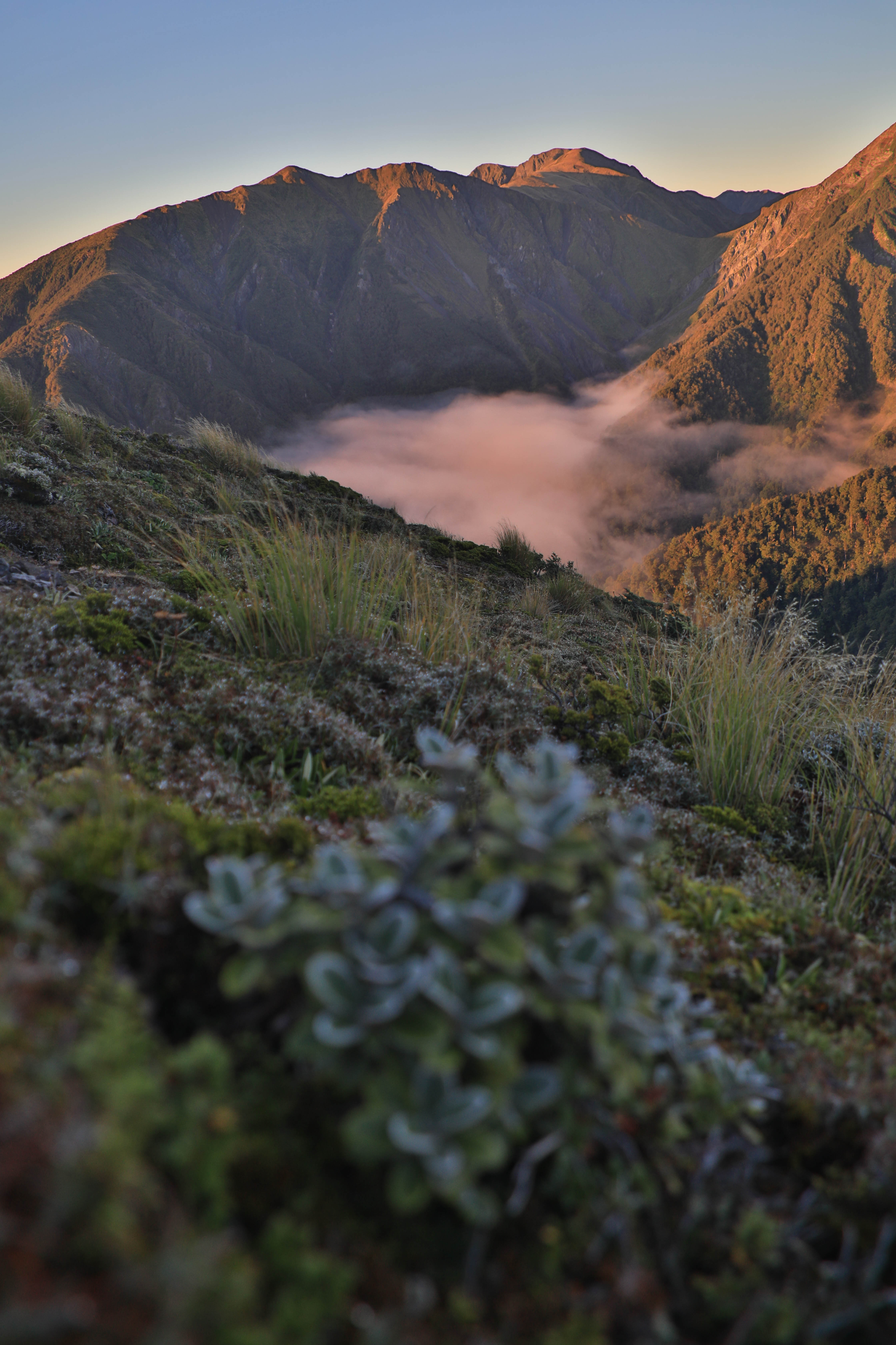 Hike to Sunrise Hut