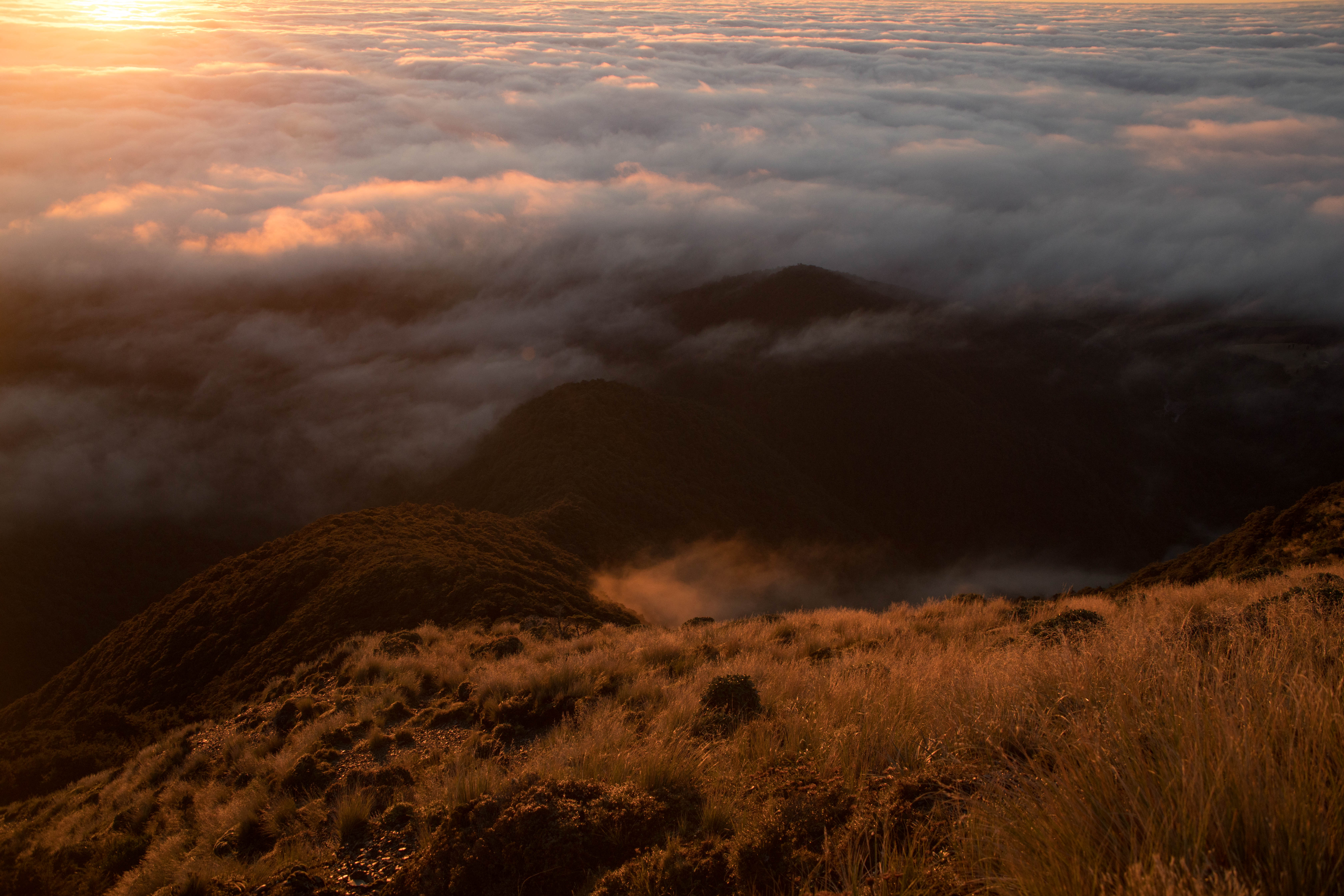Hike to Sunrise Hut