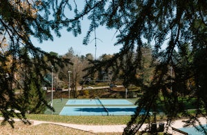 Stroll through Montford Park