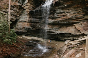 Moore Cove Falls