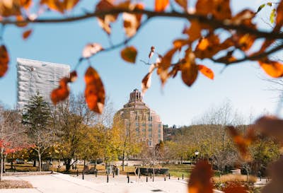 Take in the Sights at Pack Square Park
