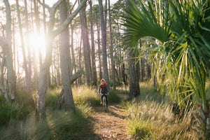 Florida Panhandle Adventures!