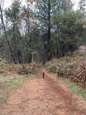 Hike The Historical Stevens Trail 