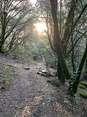 Hike The Historical Stevens Trail 