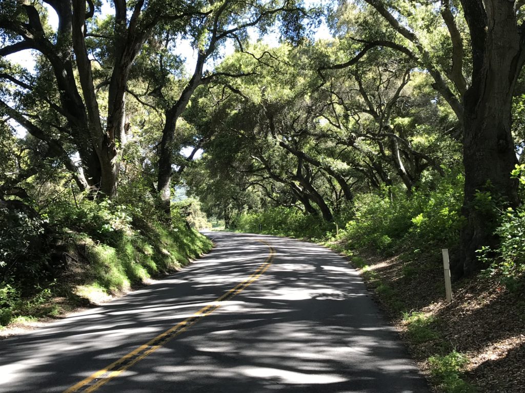 '21 Winter-Road-Biking in San Luis Obispo County