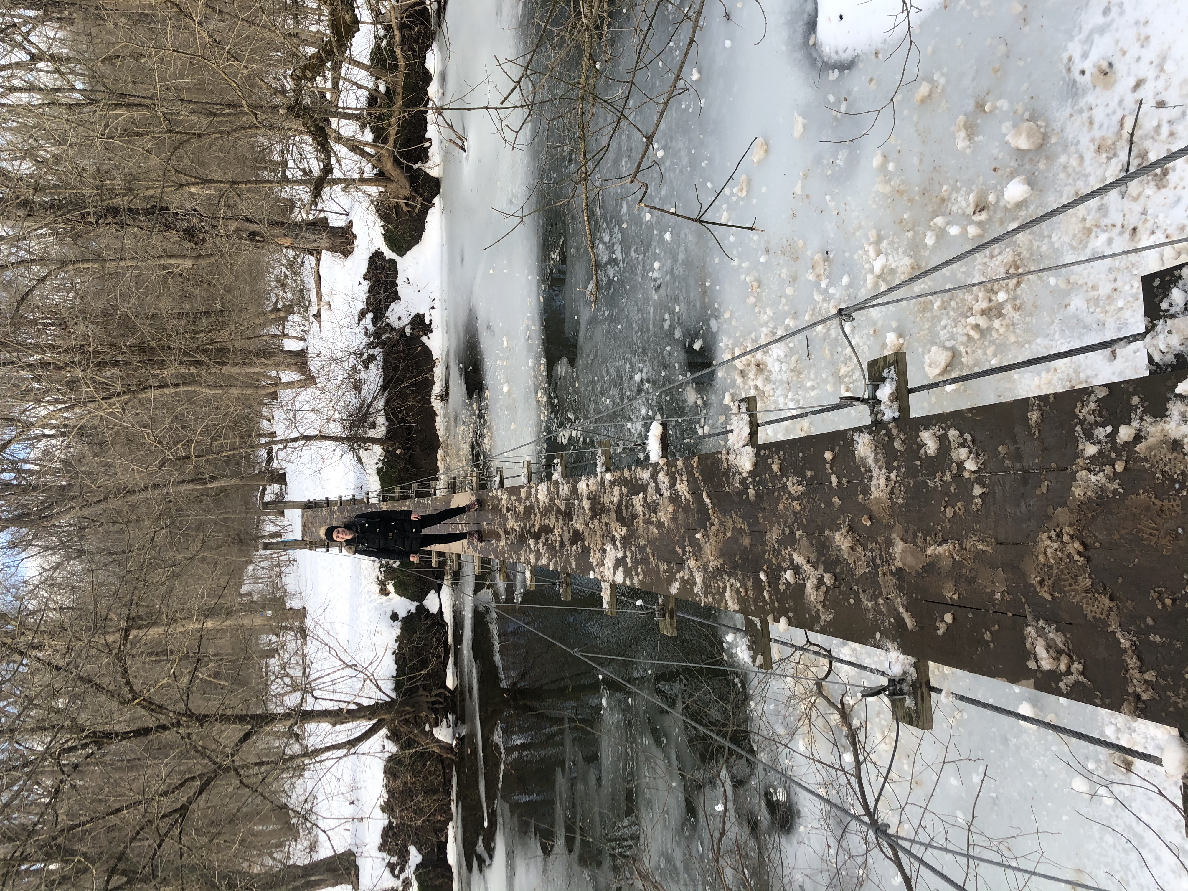 Princeton Battlefield Park Suspension Bridge