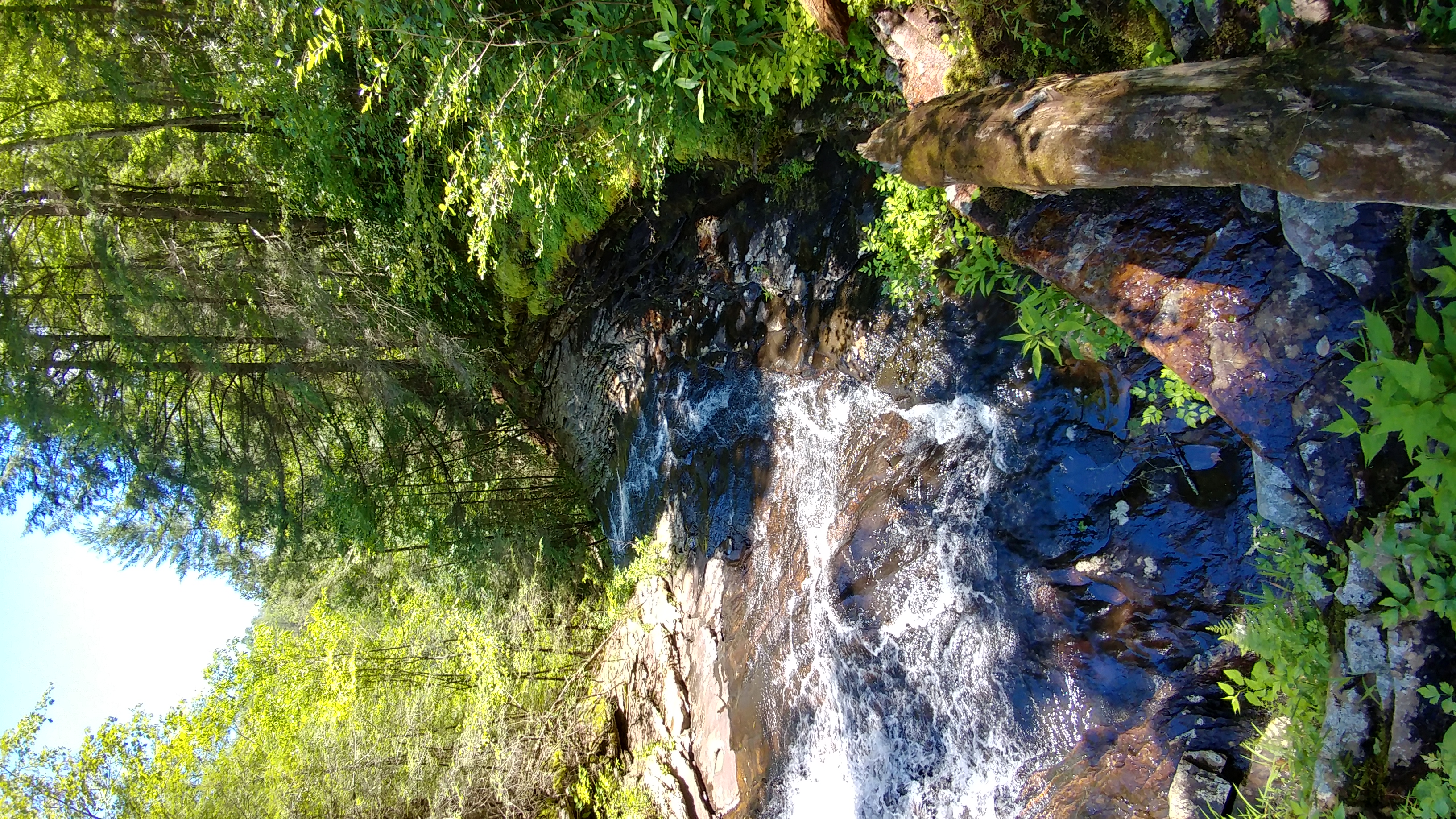Hike to Stinging Fork Falls 