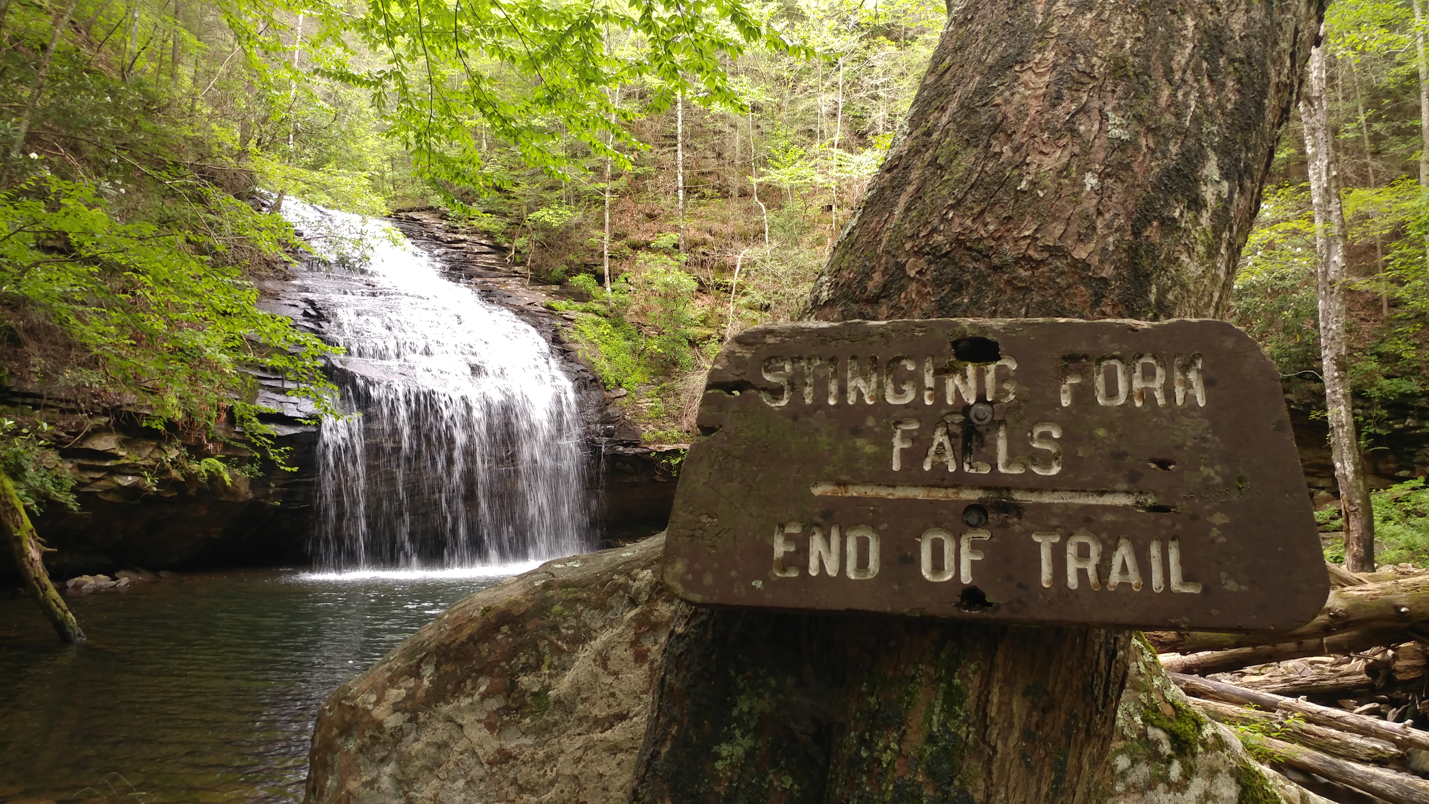 Hike to Stinging Fork Falls 