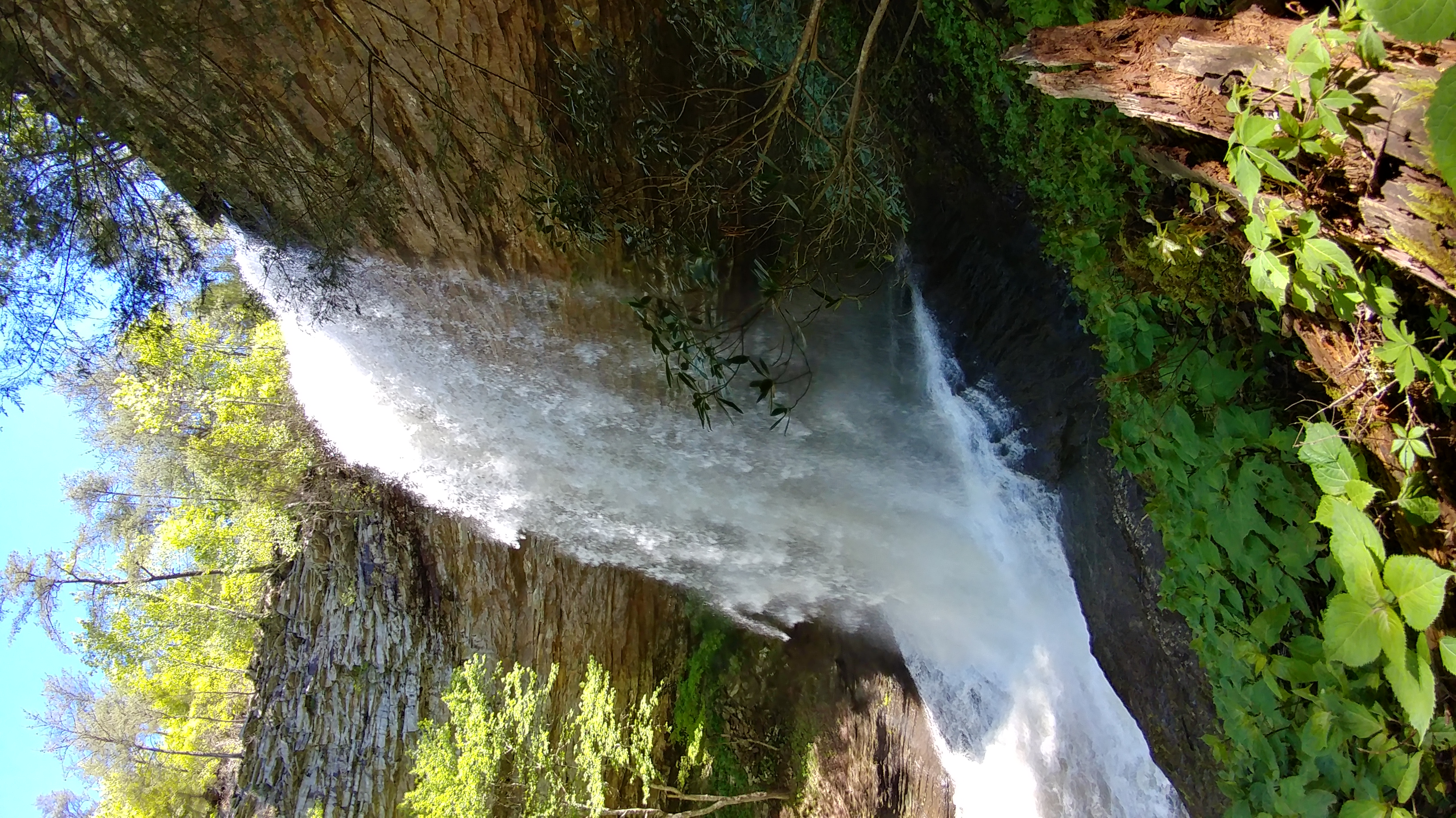 Piney Falls 