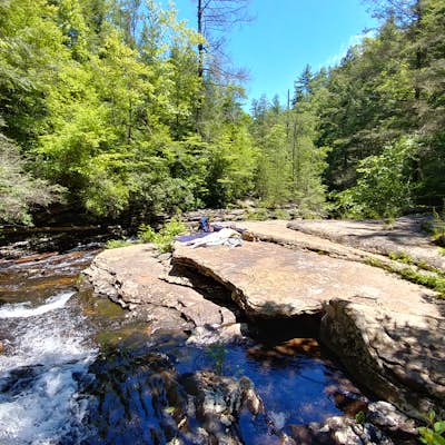 Hike to Stinging Fork Falls 