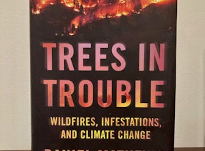 'Trees in Trouble' by Daniel Mathews