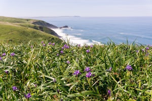 7 Hikes Near Urban Centers to Get Your Nature Fix