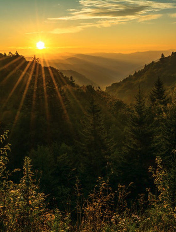 Great Smoky Mountains