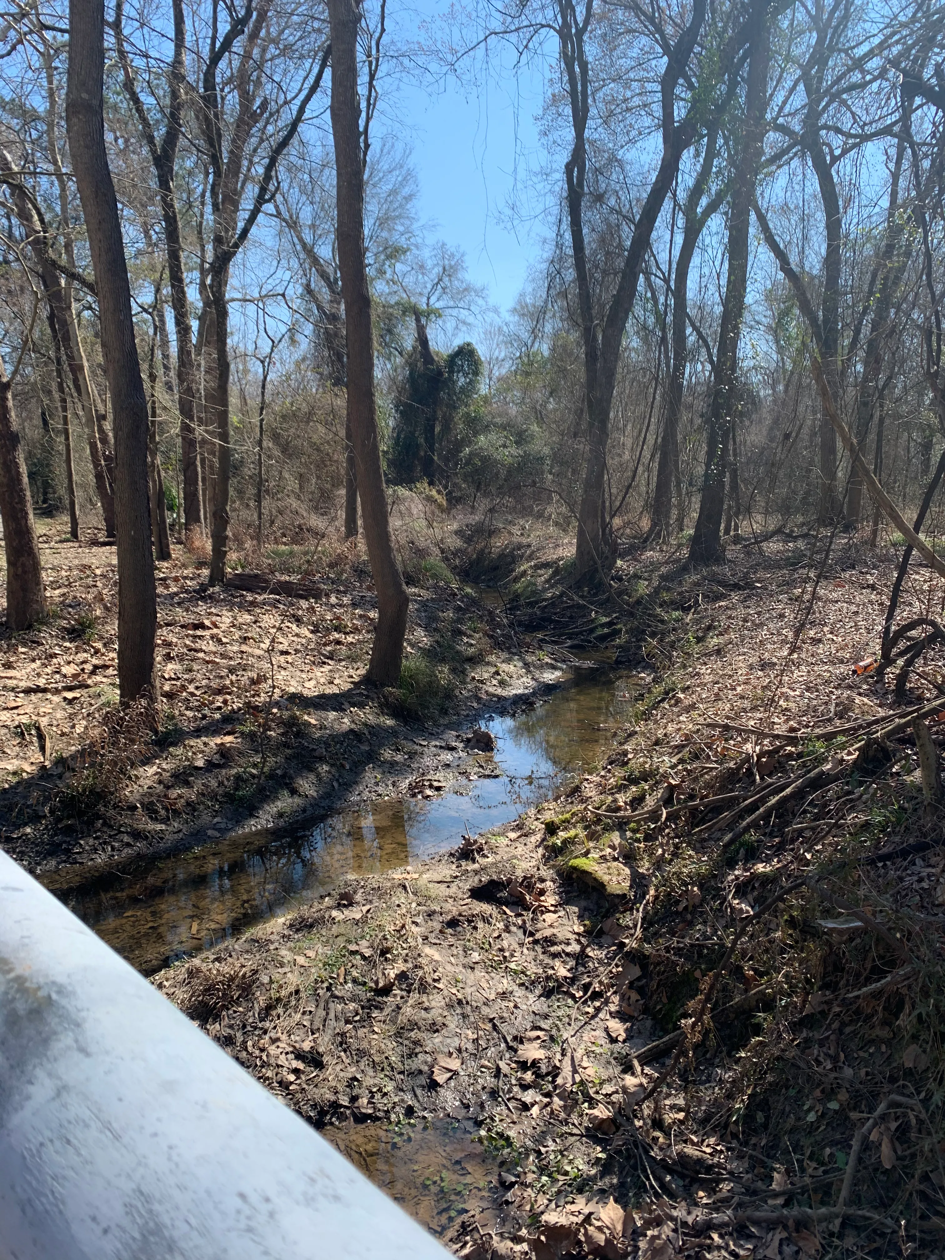 Hike Cullen Park Hike And Bike Trail