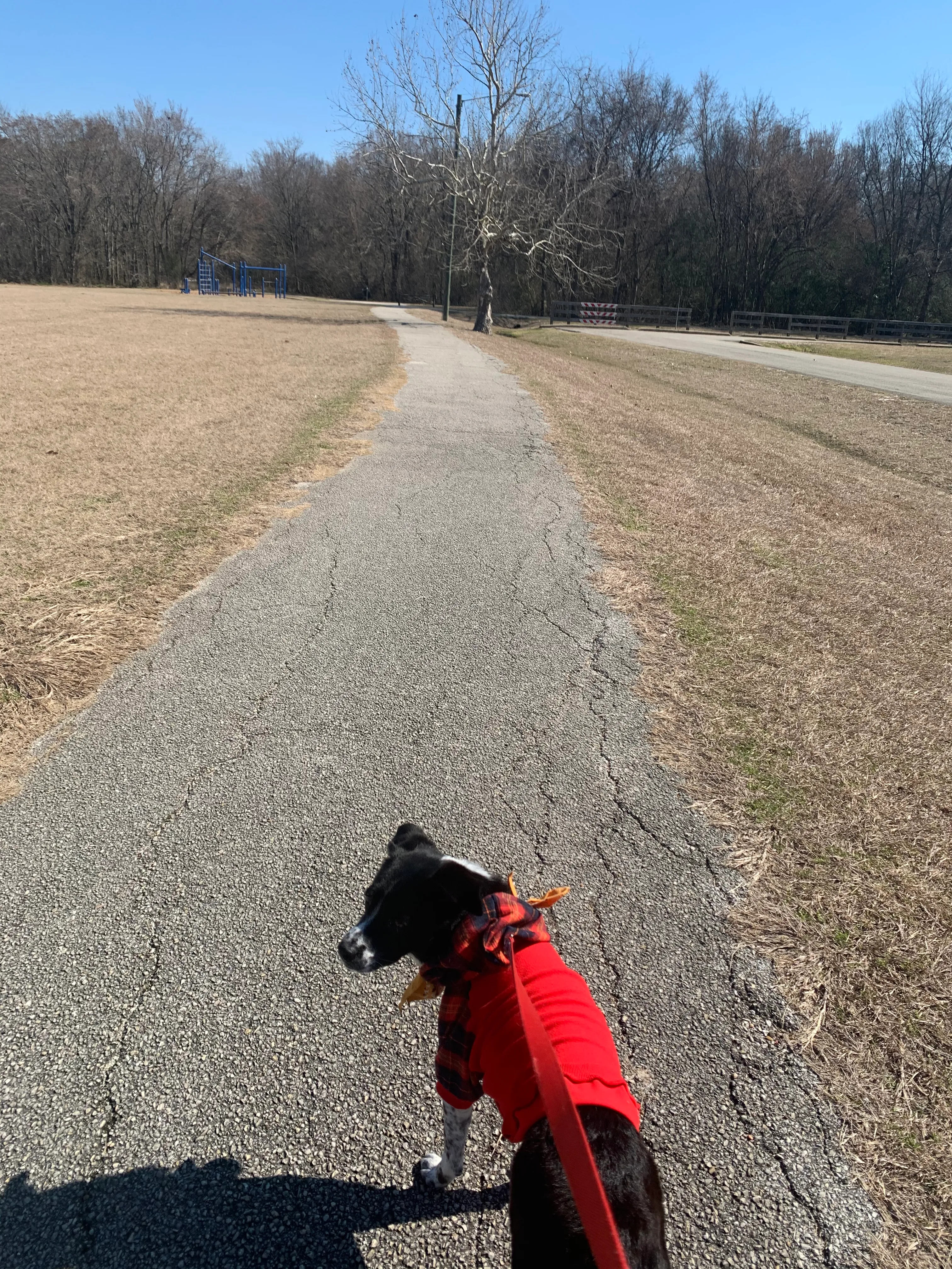 Hike Cullen Park Hike And Bike Trail