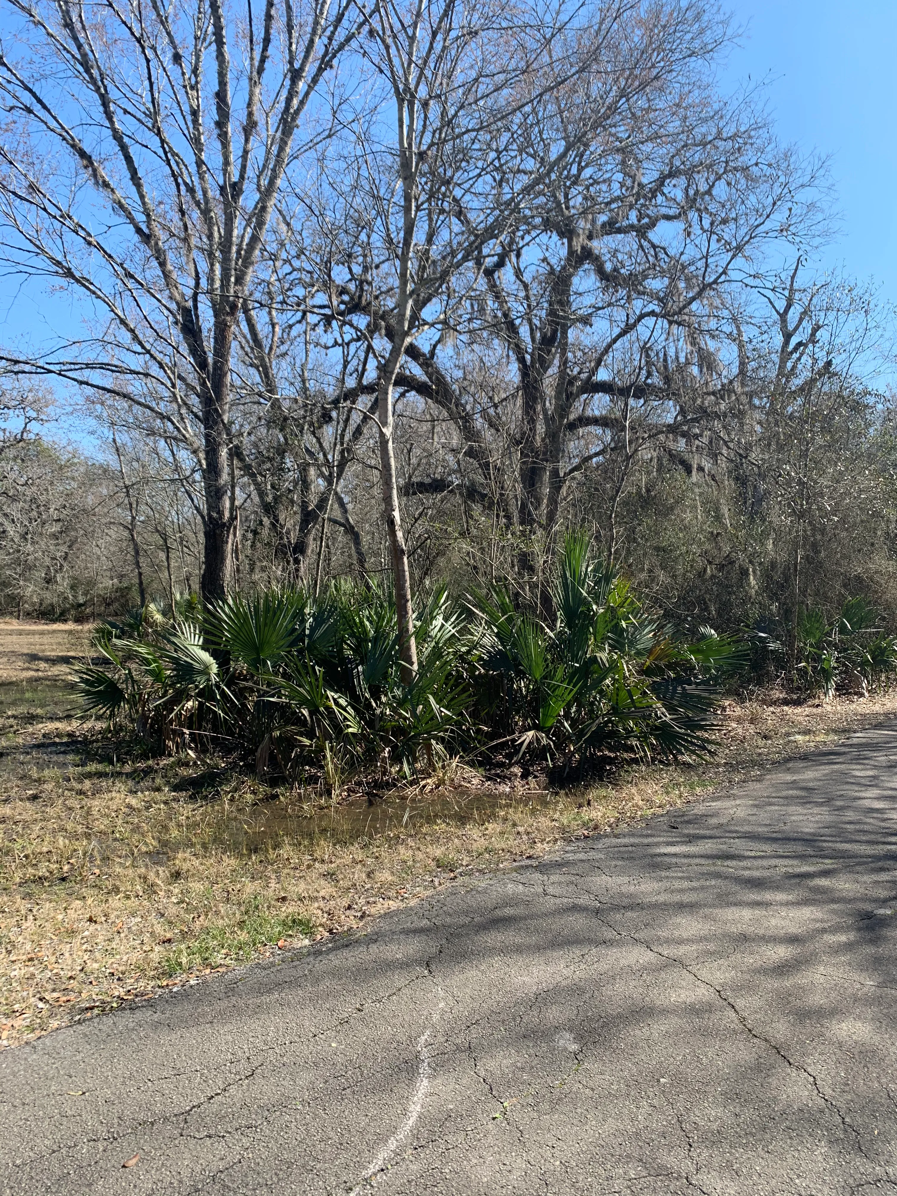 Hike Cullen Park Hike And Bike Trail