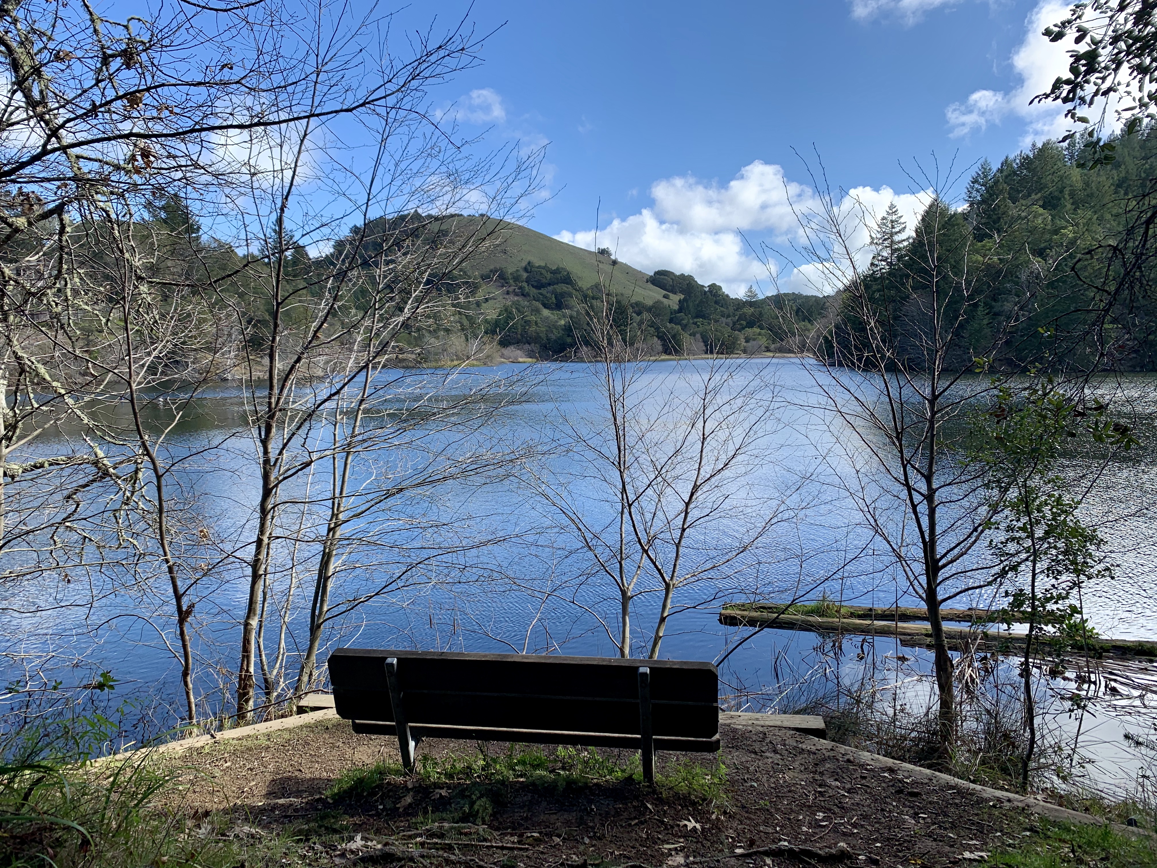Lake Lagunitas