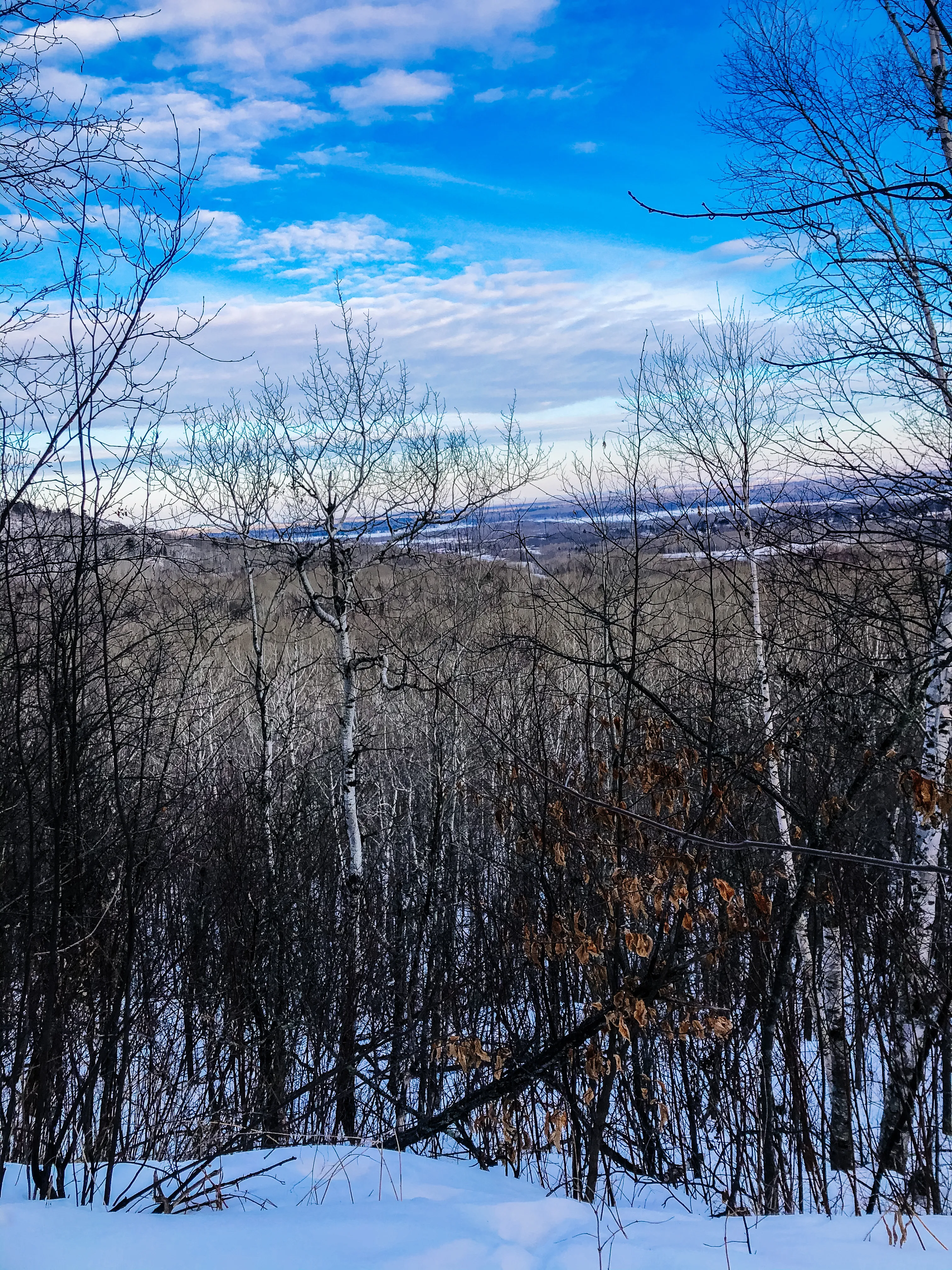 Hike to Ely's Peak