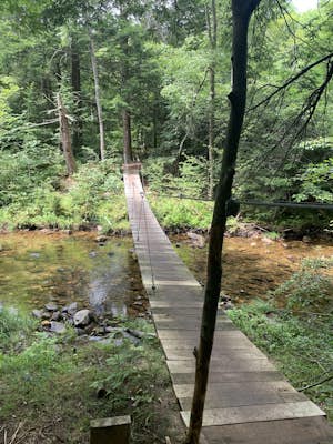  Hiking Bear Creek Preserve