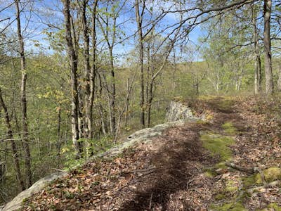  Hiking Bear Creek Preserve
