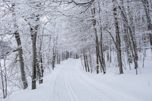 Skijoring 101 on Minnesota's North Shore