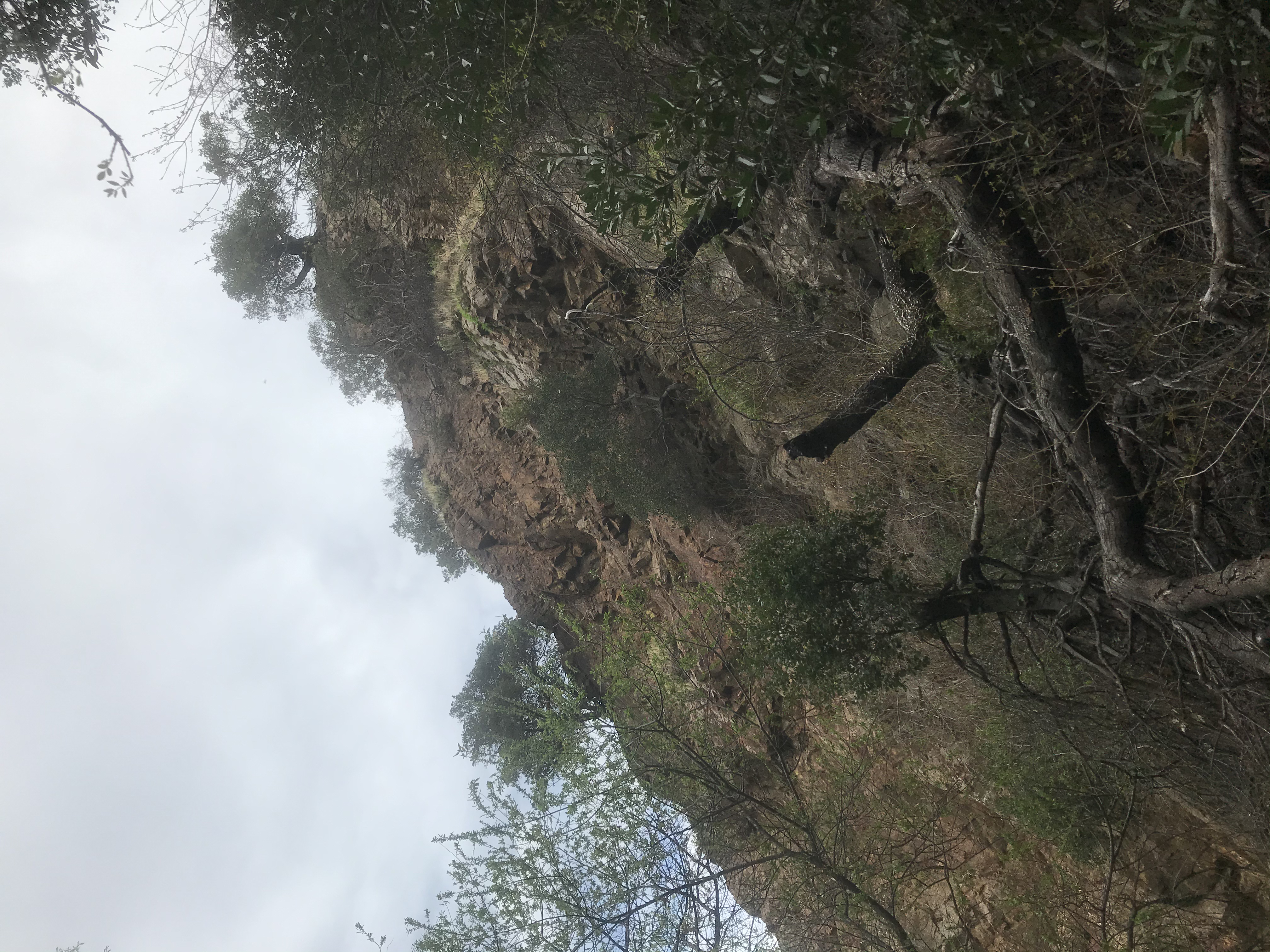 Skyline Drive Trail