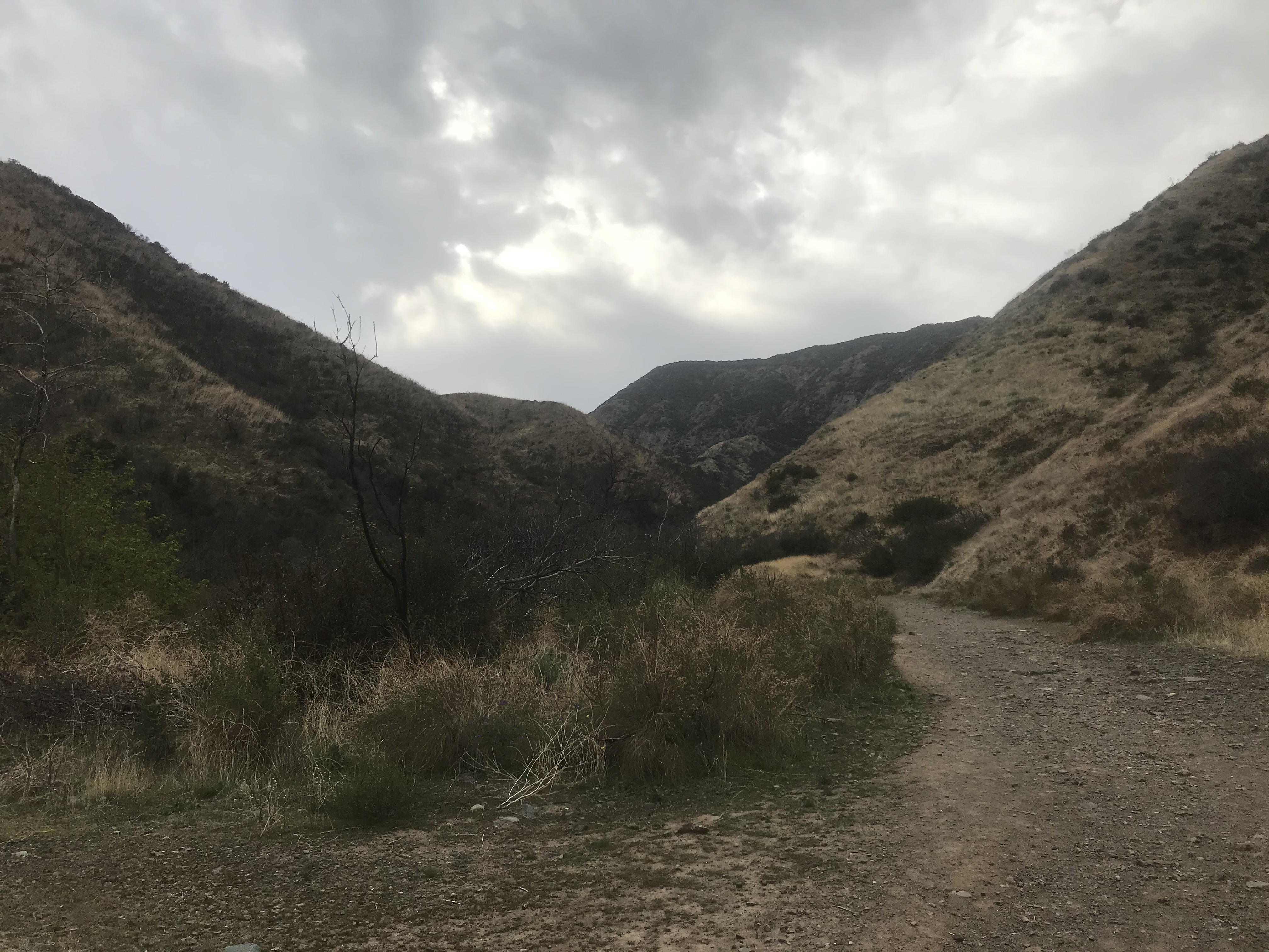 Skyline Drive Trail