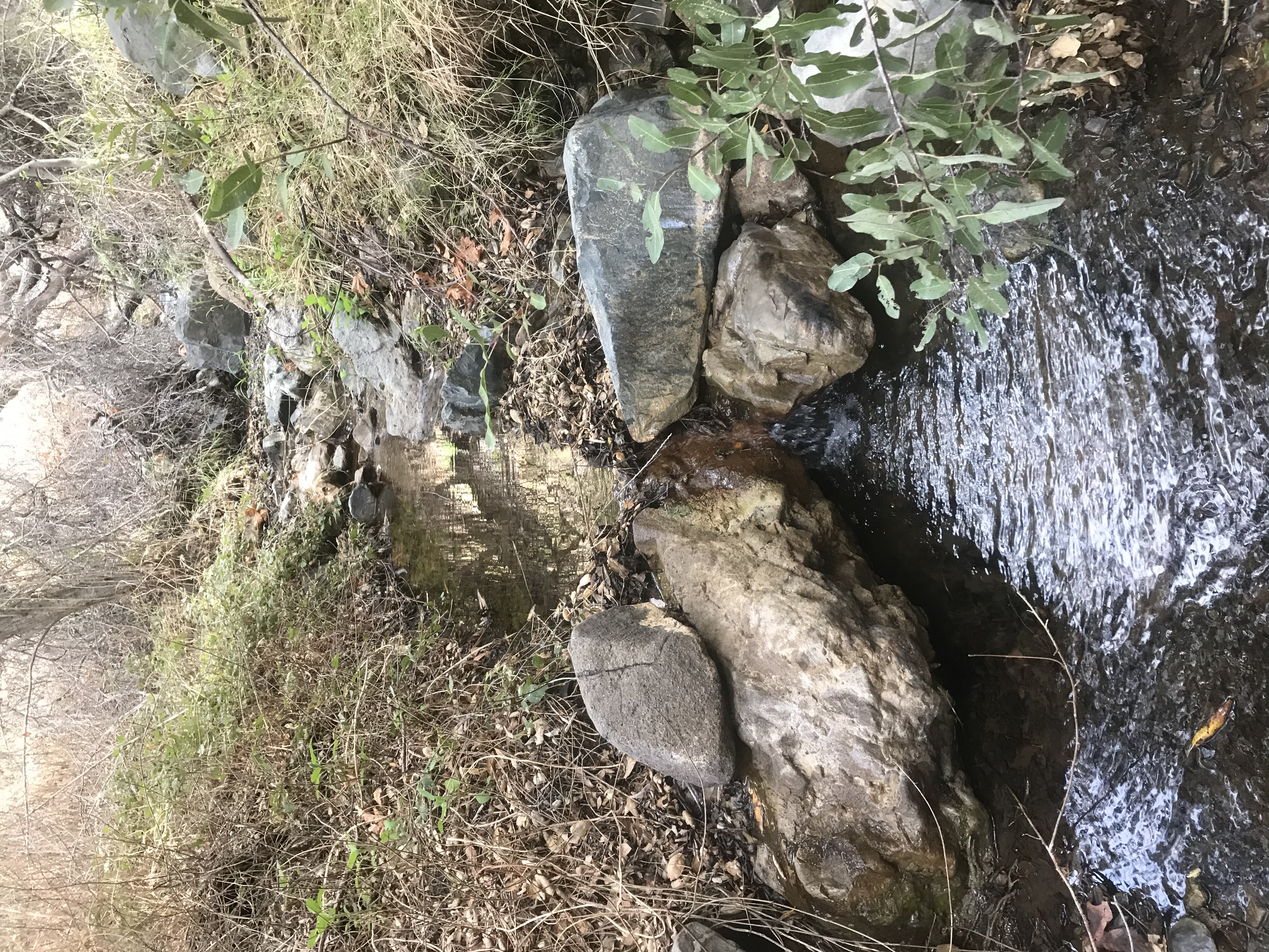 Skyline Drive Trail