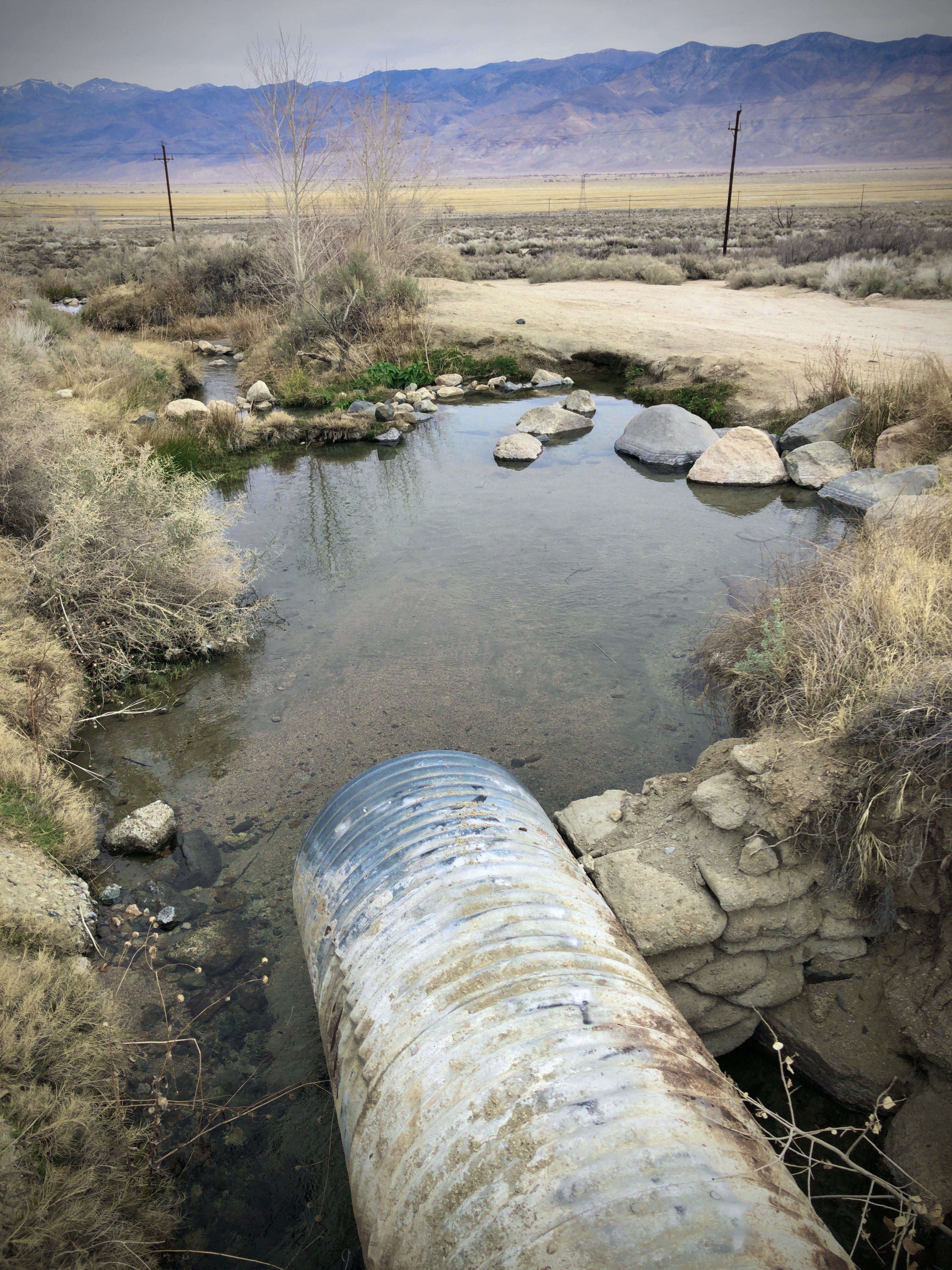 Keough Hot Springs Creek