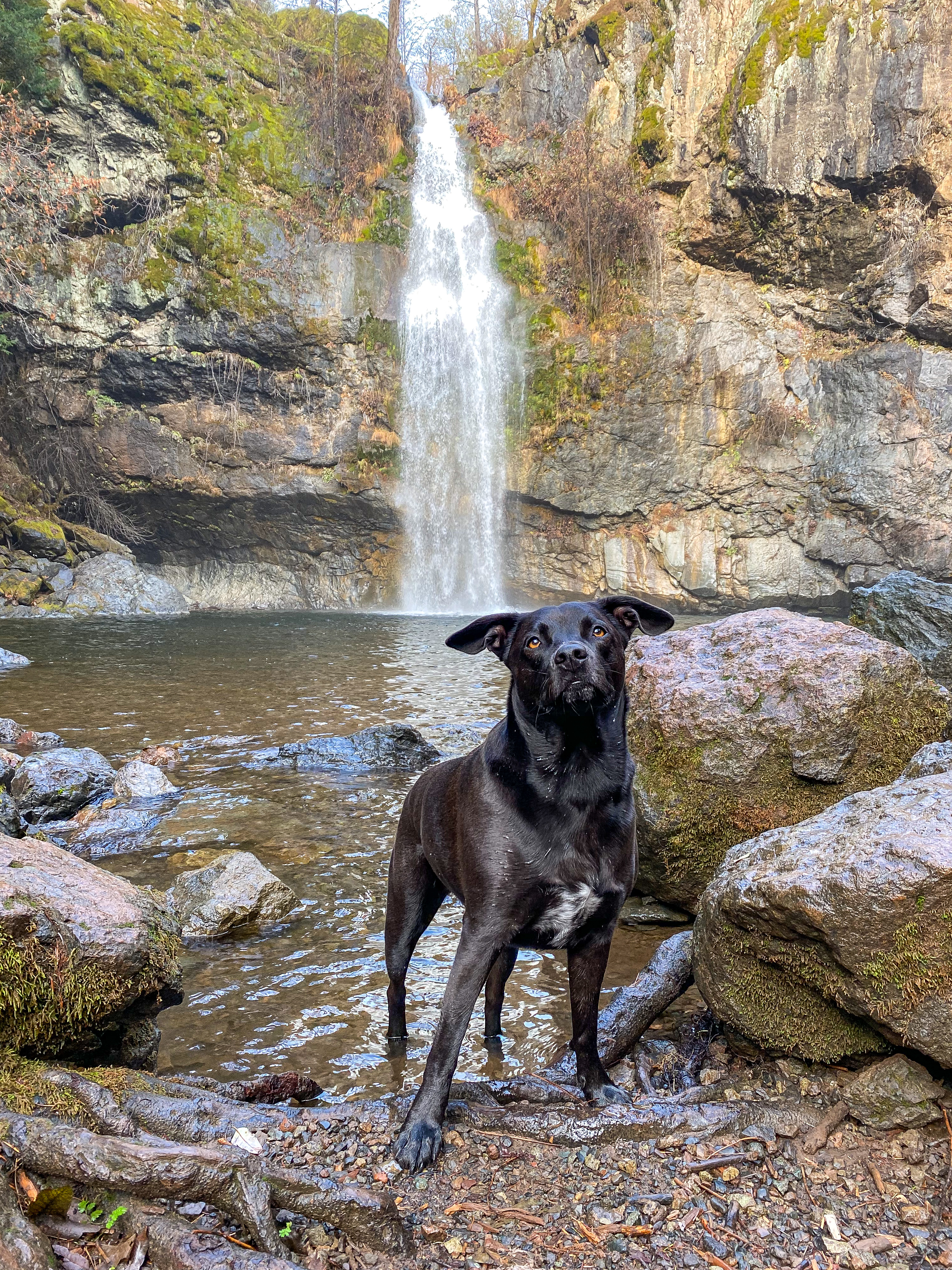 Potem Falls