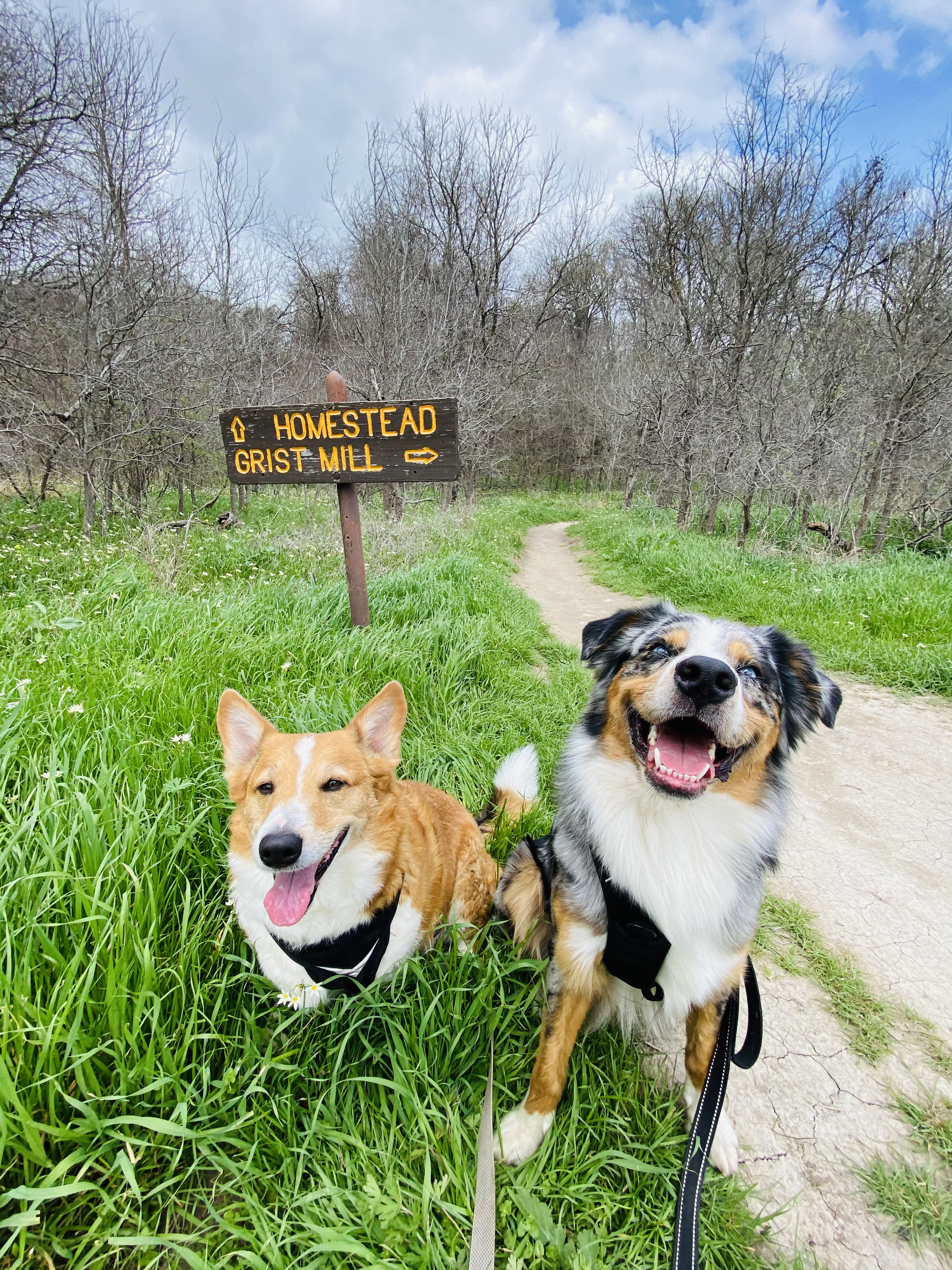Hike the Homestead Trail