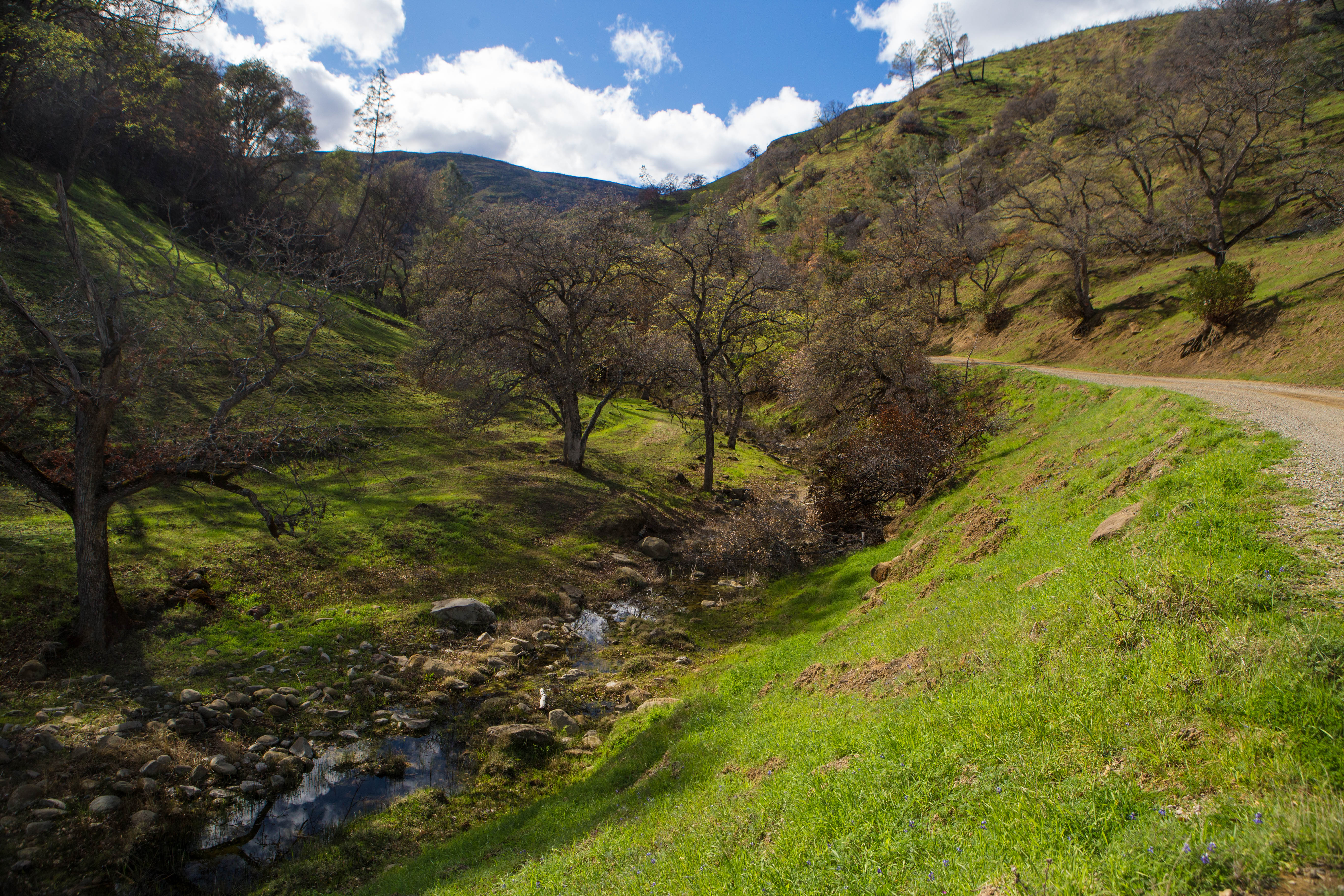 Hike Pierce Canyon, Guinda, California