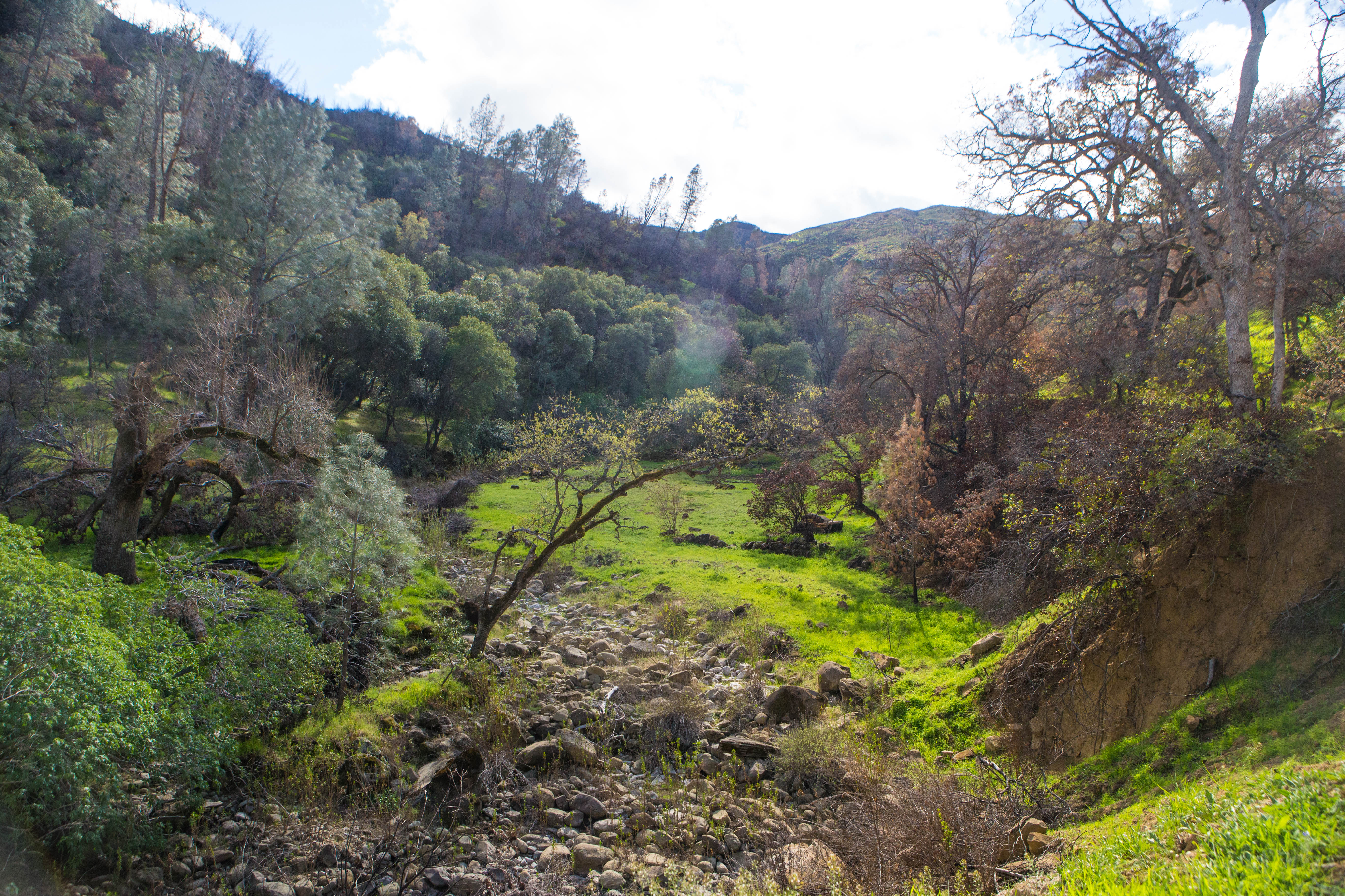 Hike Pierce Canyon