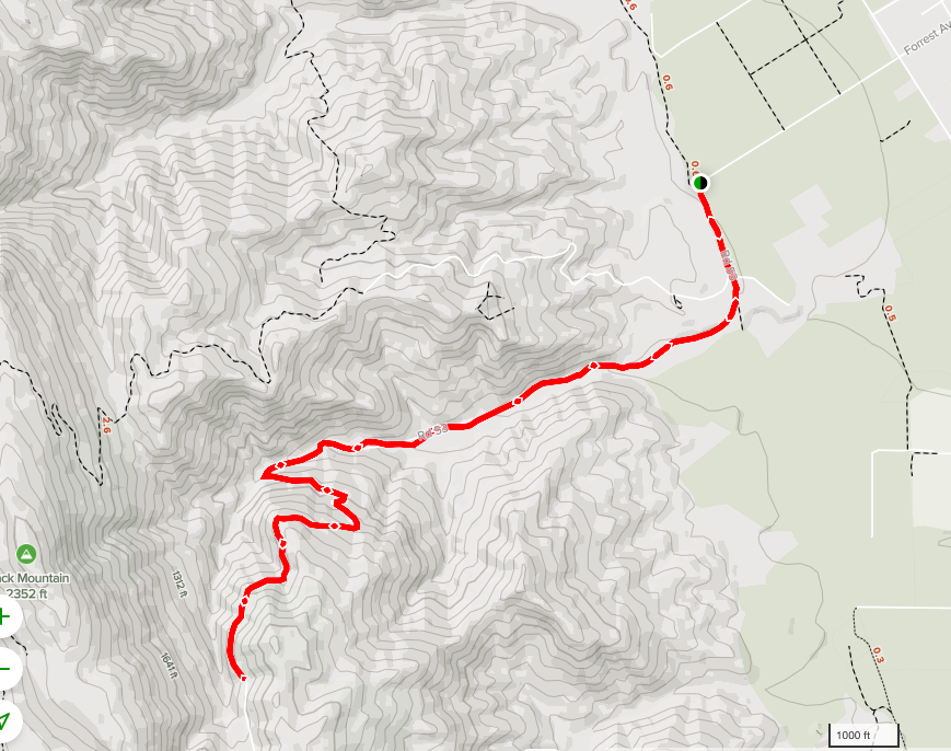 Hike Pierce Canyon