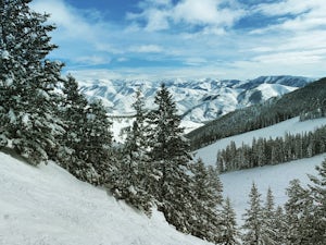 A Vegetarian/Vegan Guide to the Sun Valley Area