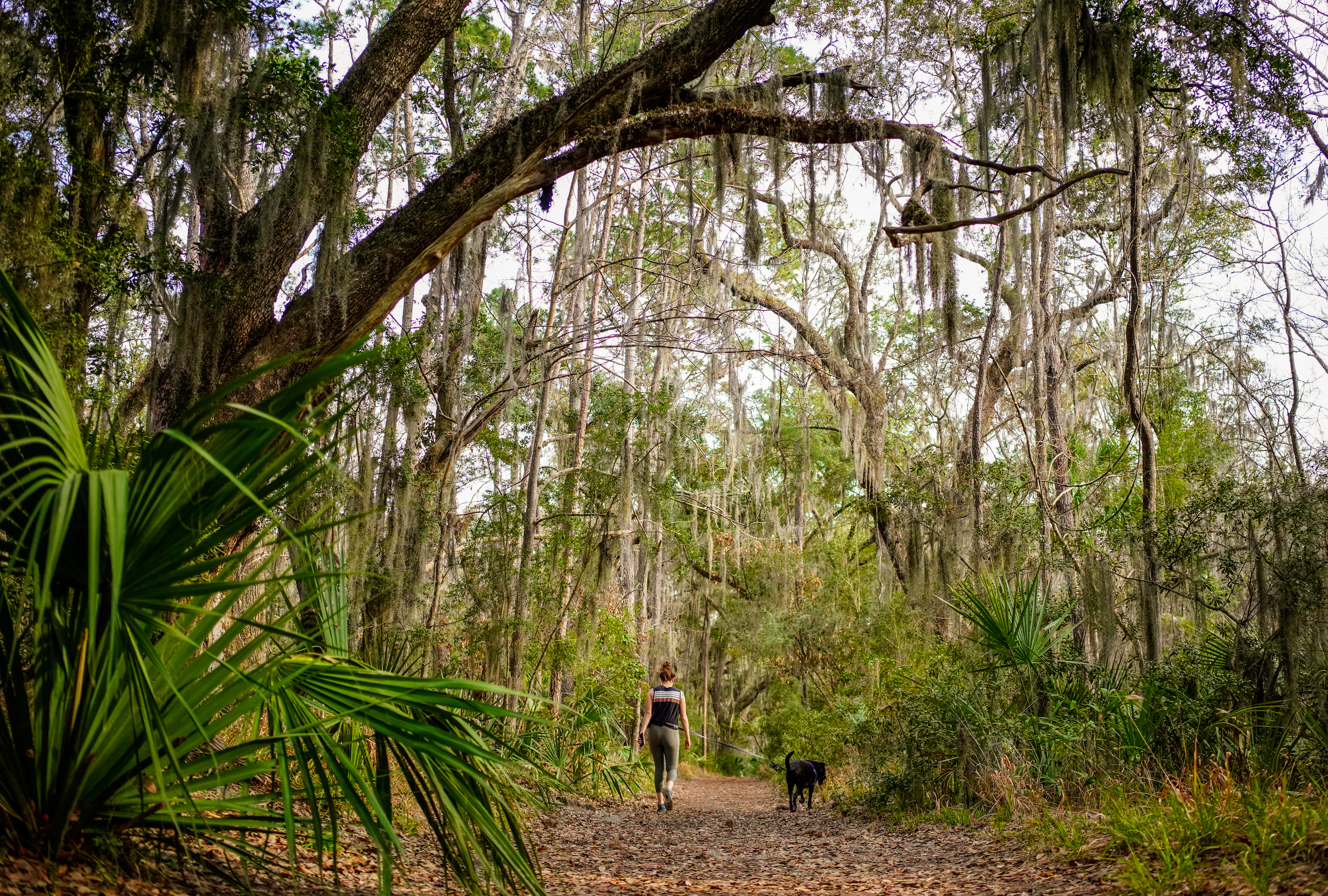 Camp at Skidaway Island State Park