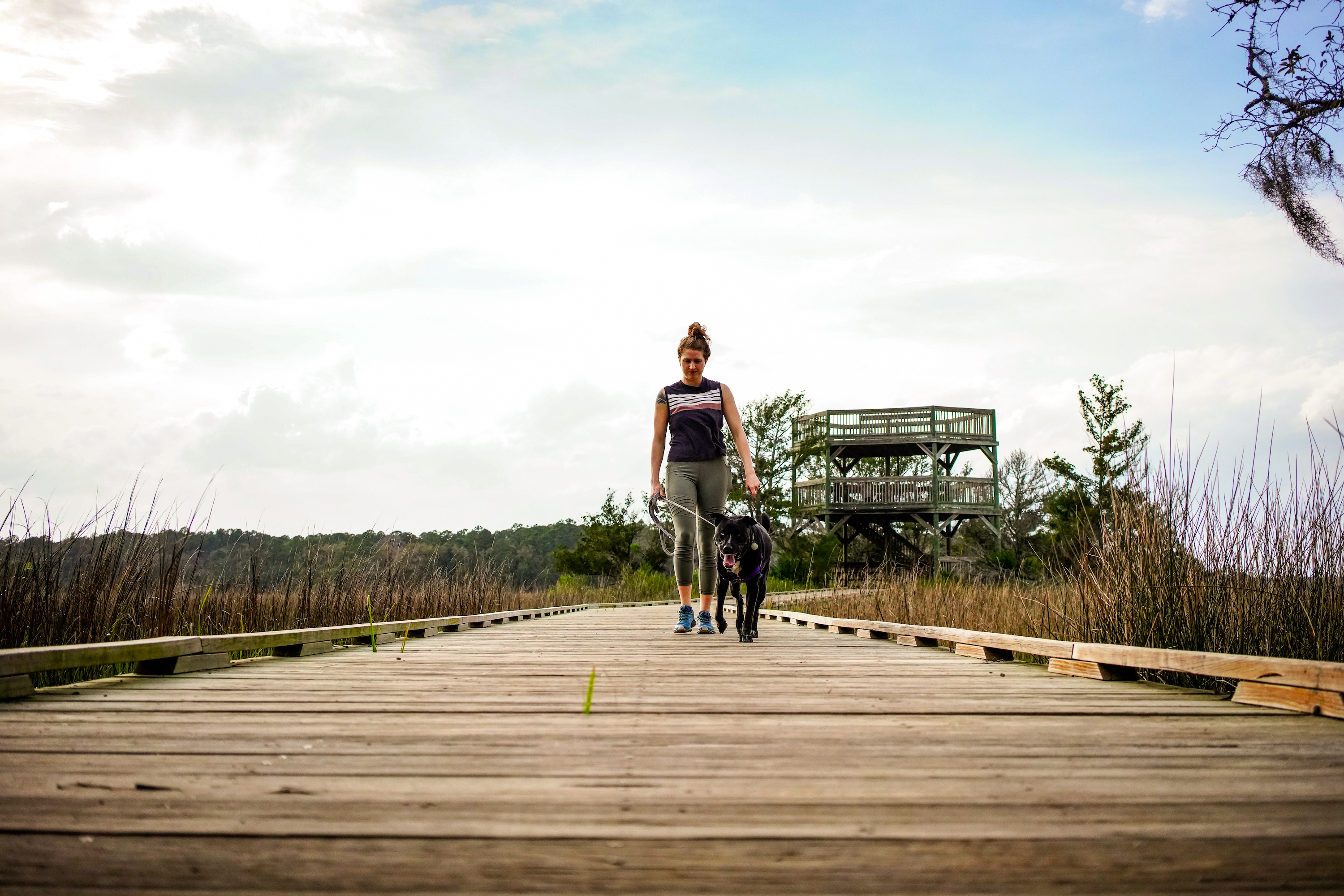 Camp at Skidaway Island State Park
