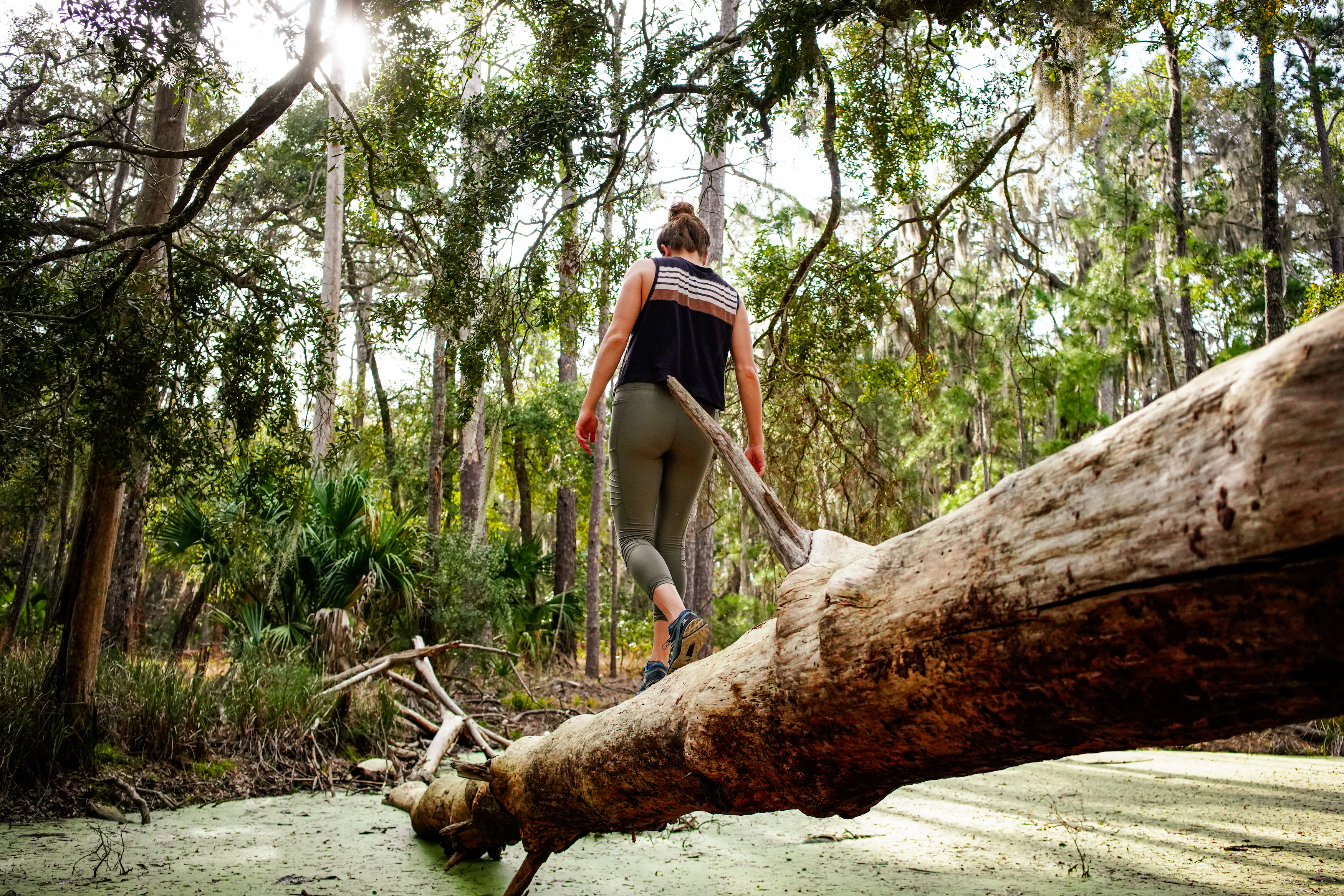 Camp at Skidaway Island State Park