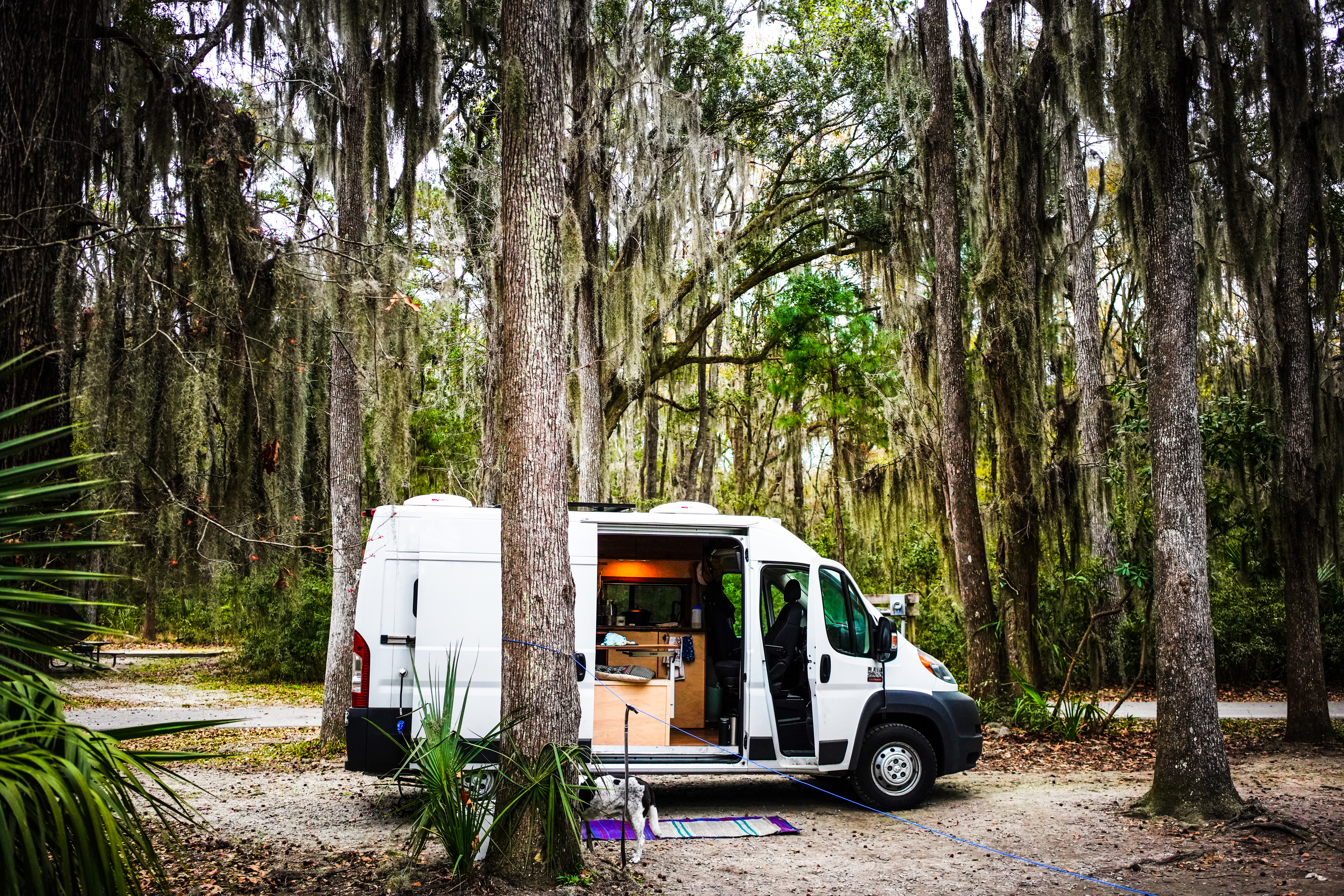 Camp at Skidaway Island State Park