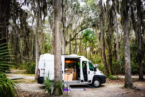 Camp at Skidaway Island State Park