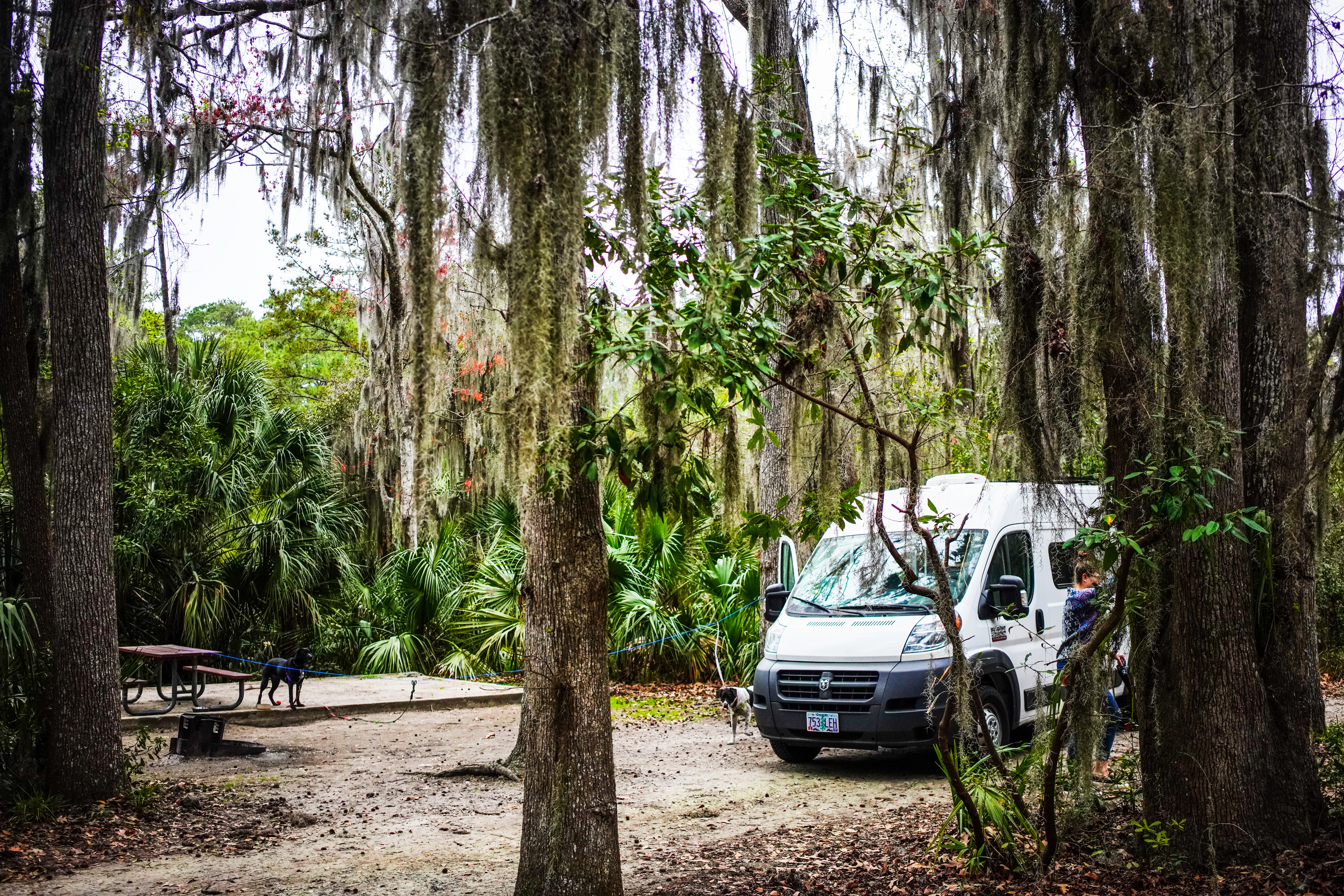 Camp at Skidaway Island State Park