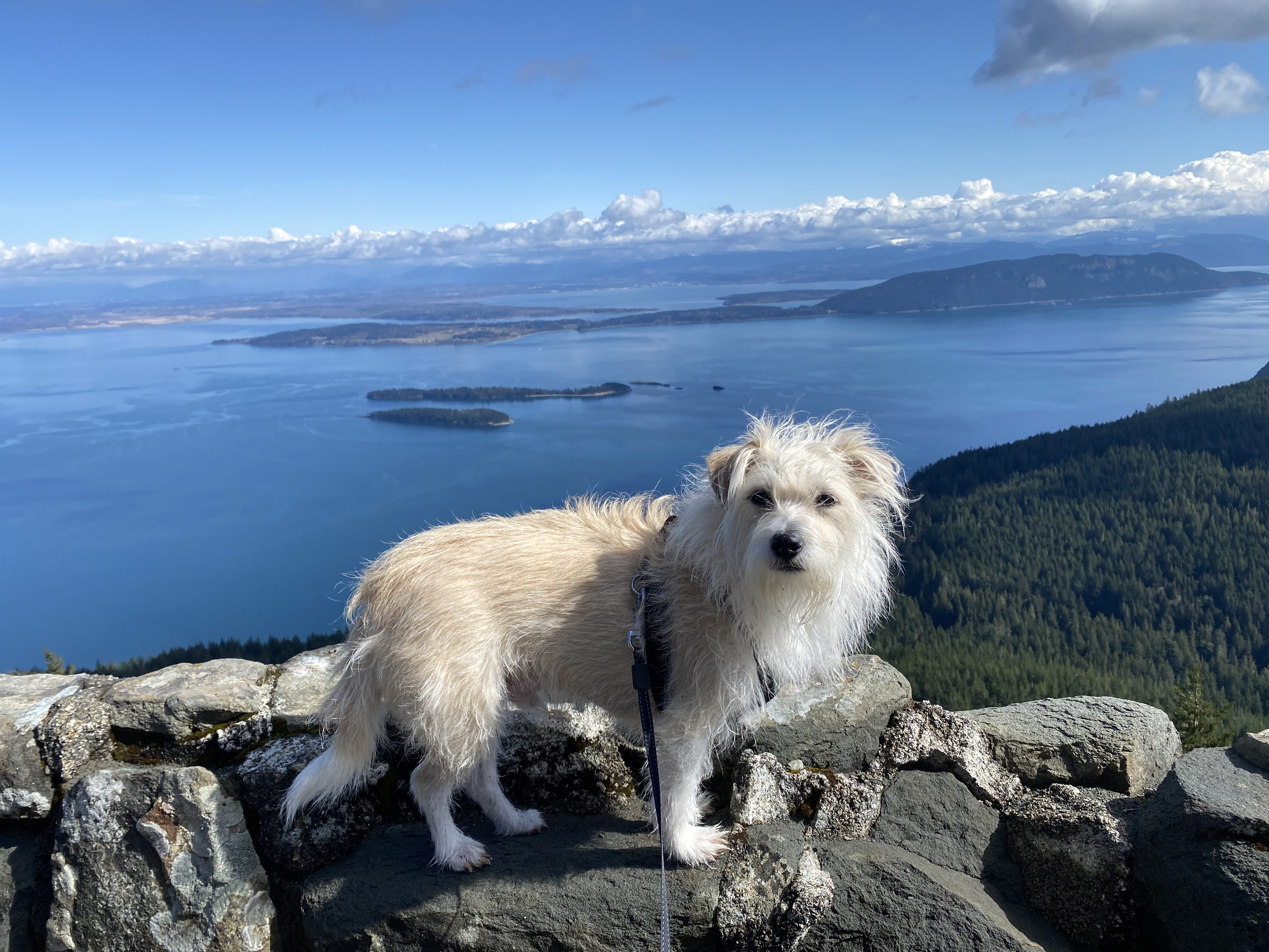 Mount Constitution Summit