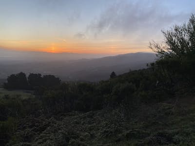 Sunrise Hike at Windy Hill